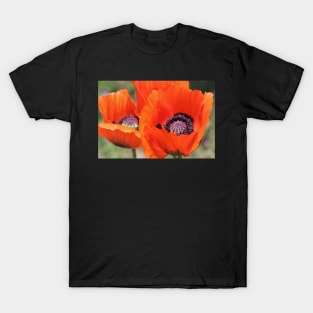 Red Poppies T-Shirt